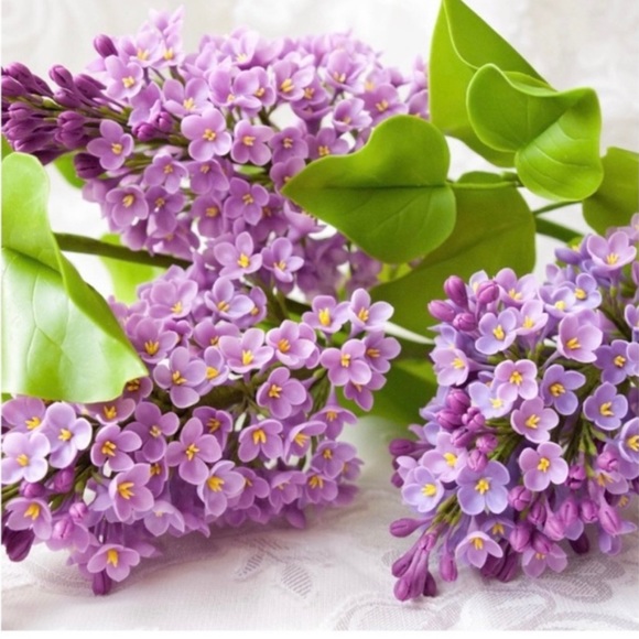 About my closet 🌸🍃🌺🍃🌼🍃🌺 - Picture 9 of 10